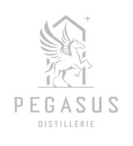 Pegasus