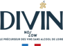 DIVIN